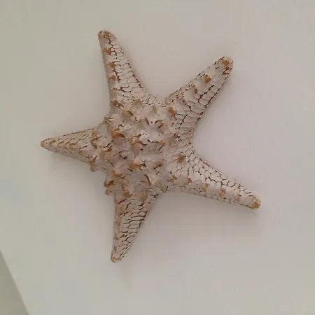 La 3* Галлиполи